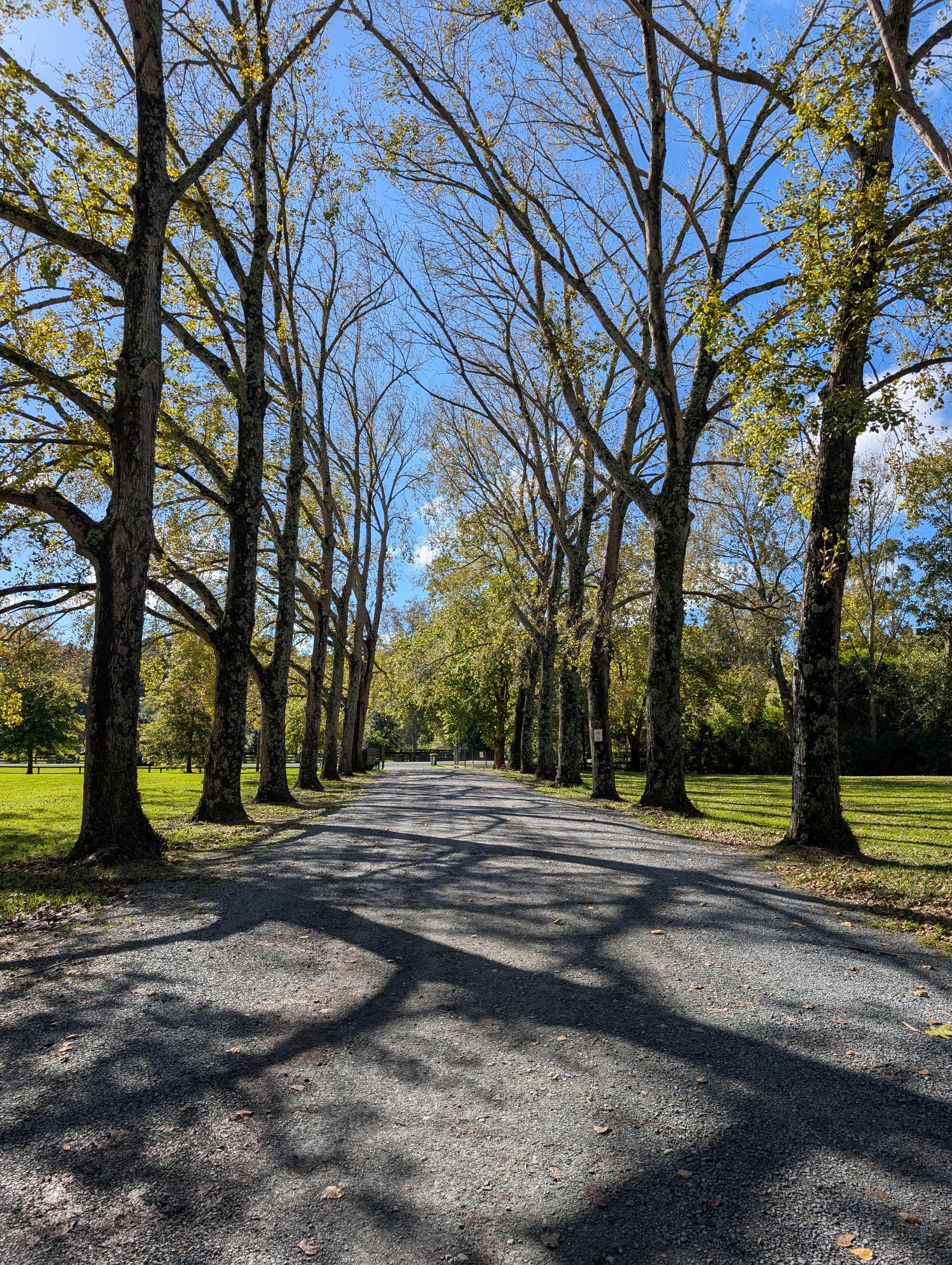 Cafe Nectar at Morris James — photo 4